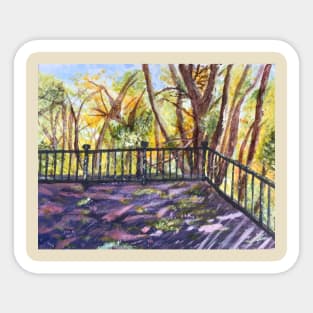 Autumn Trees in Sunlight Sticker